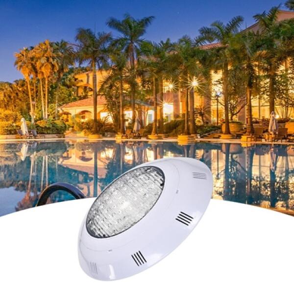 O1CN010Eosib215Mhx1562l_!!932886933-0-cib