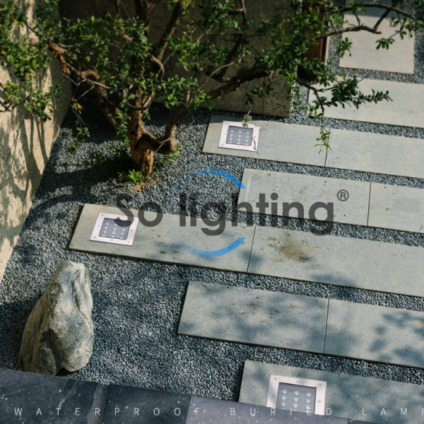 O1CN01245JC64WrQsrSmt_!!1119987339-1